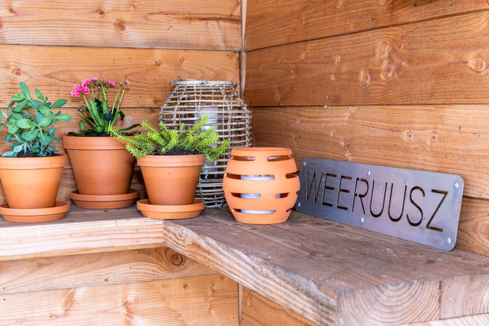 Weeruusz Bed & Breakfast Kolderwolde Bagian luar foto